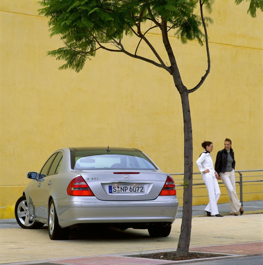  Mercedes-Benz E-Class 2002 года  (фото 154 из 448)